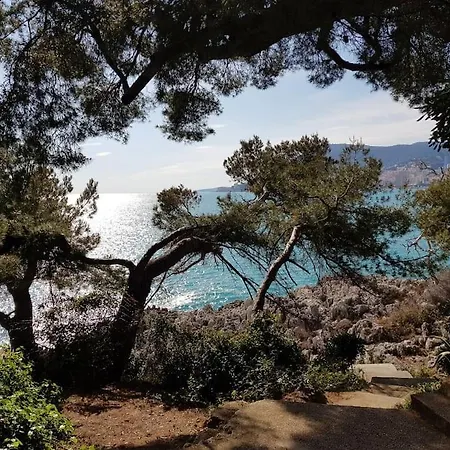 公寓 Cosy Pres Des Palaces Mentonnais